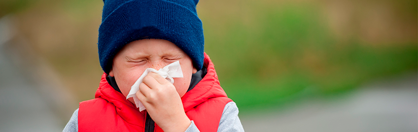 Жизнь без аллергии: программа обследования при аллергии