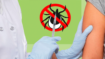 Вакцинация от клещевого энцефалита